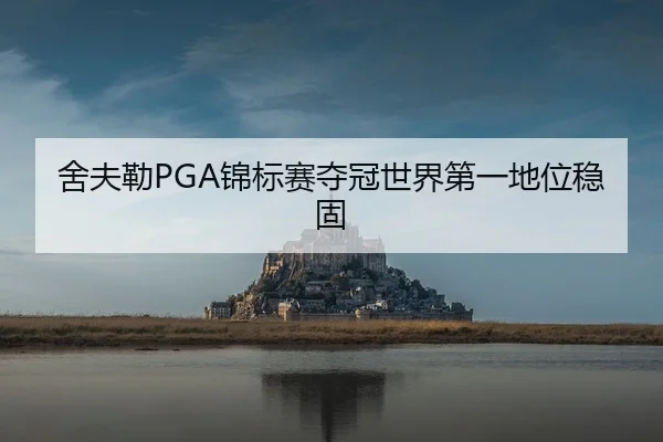 舍夫勒PGA锦标赛夺冠世界第一地位稳固
