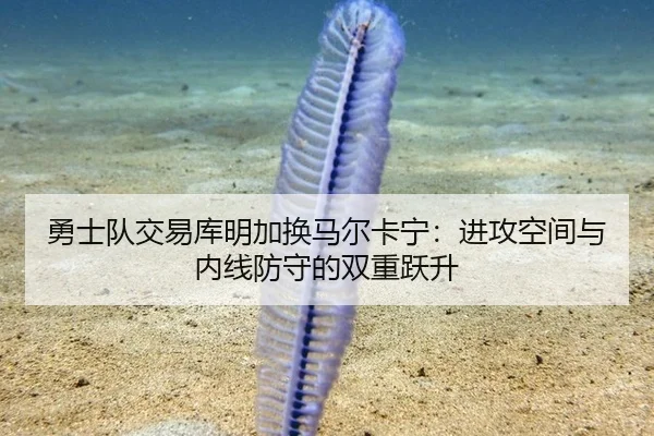 yong-shi-dui-jiao-yi-ku-ming-jia-huan-ma-er-ka-ning-jin-gong-kong-jian-yu-nei-xian-fang-shou-de-shuang-chong-yue-sheng-3-603.jpg