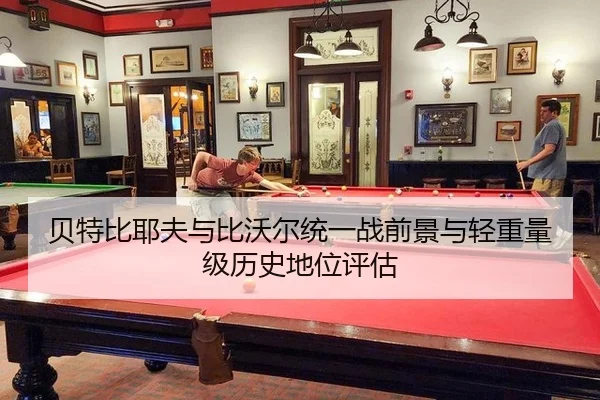 bei-te-bi-ye-fu-yu-bi-wo-er-tong-yi-zhan-qian-jing-yu-qing-zhong-liang-ji-li-shi-di-wei-ping-gu-3-142.jpg